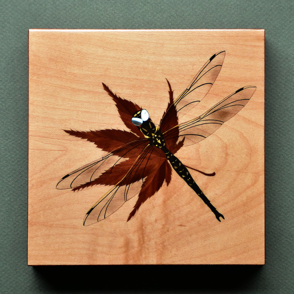 Dragonfly 蜻蛉と紅葉