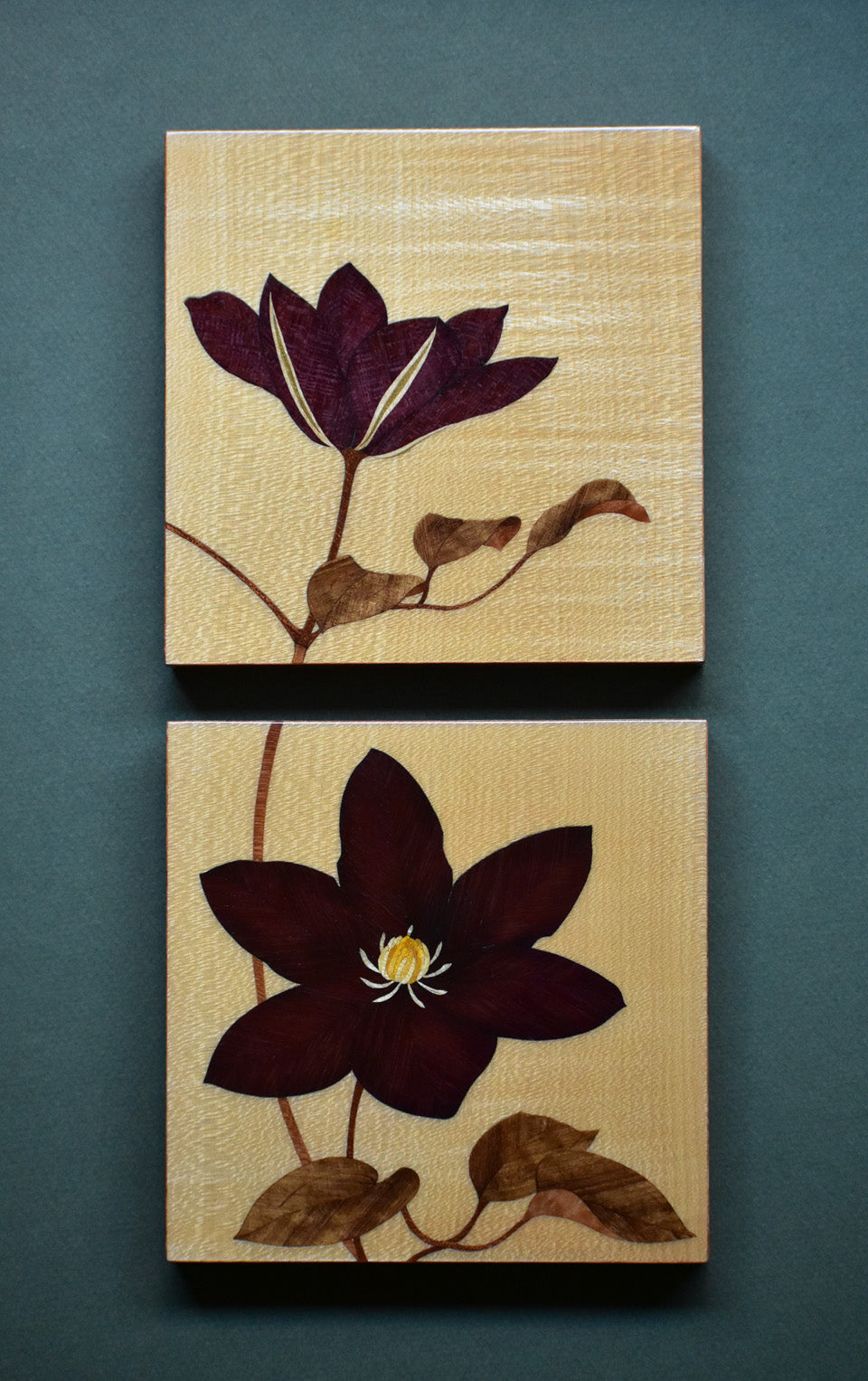 Clematis No.1 b