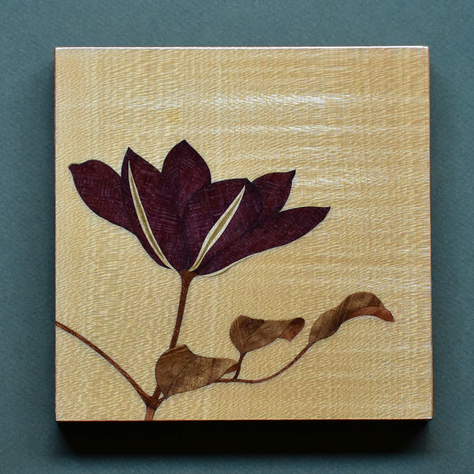 Clematis No.1 a