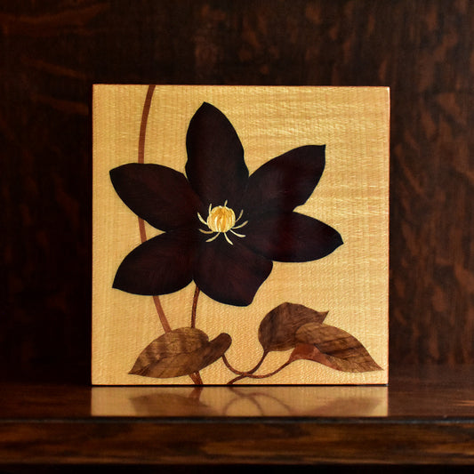 Clematis No.1 b