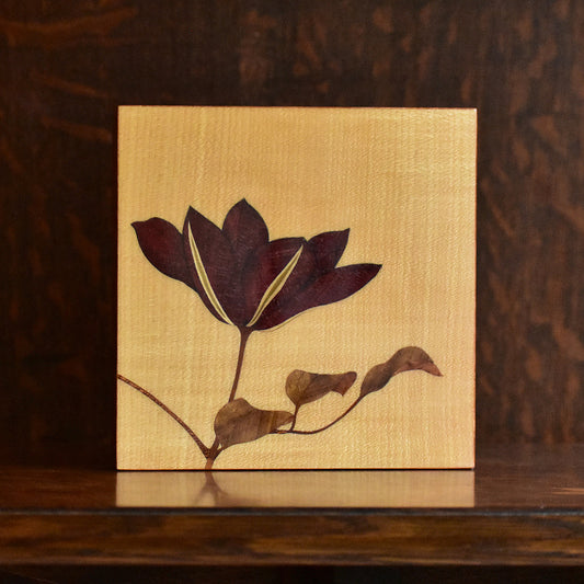 Clematis No.2 a