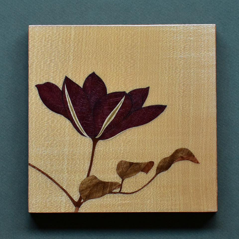 Clematis No.2 a