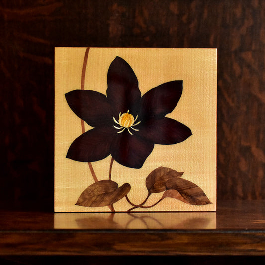 Clematis No.2 b