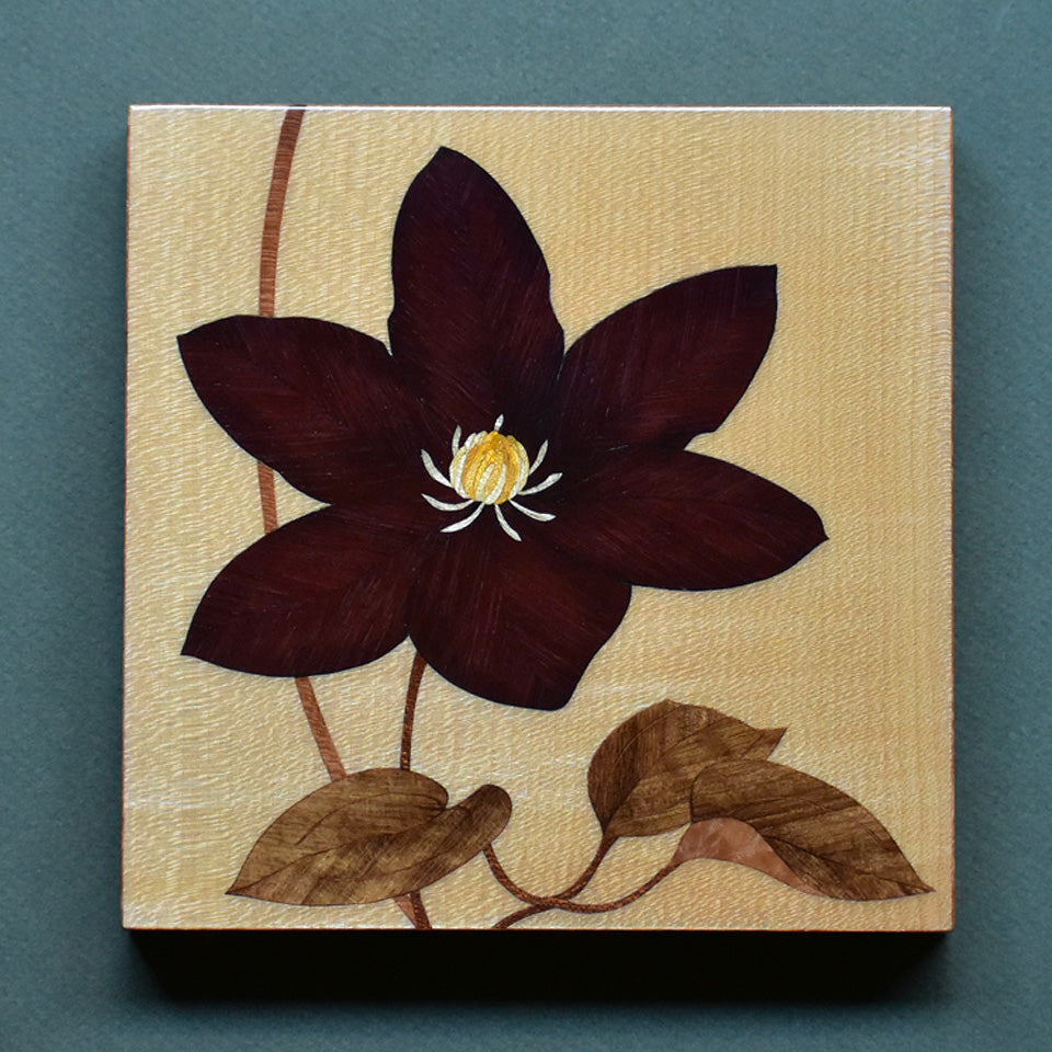 Clematis No.2 b