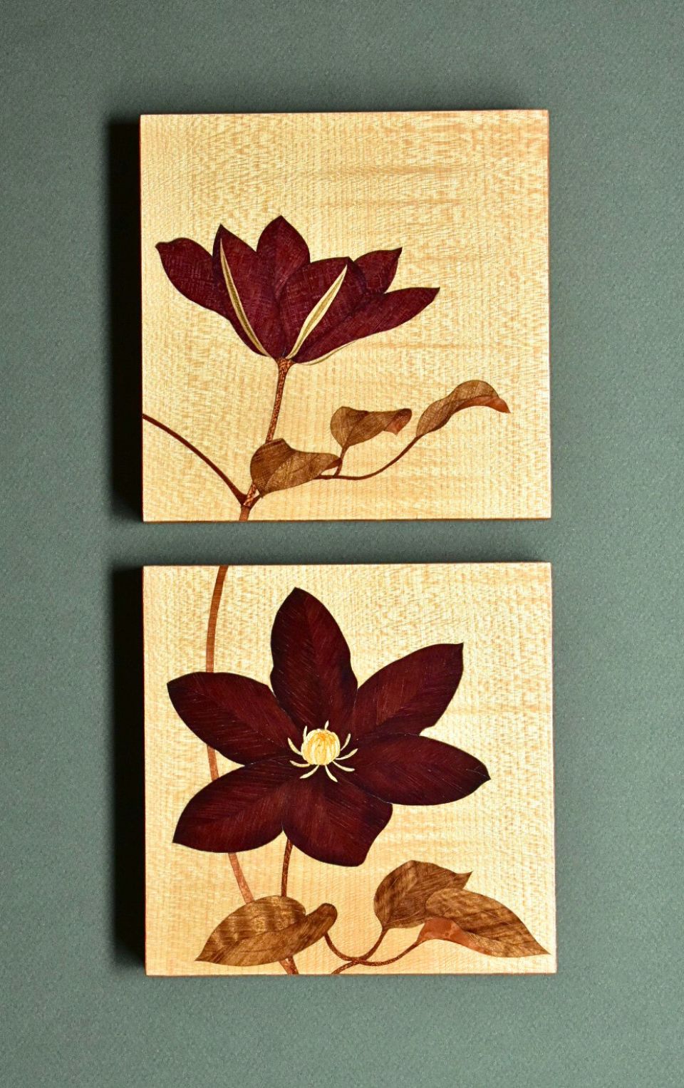 Clematis No.2 b