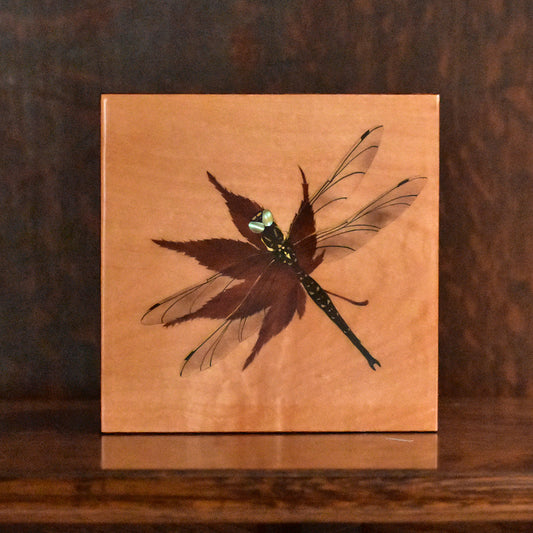 Dragonfly 蜻蛉と紅葉